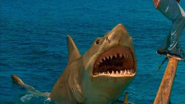 El tiburón Bruce ha vivido mejores momentos
