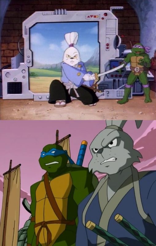 Usagi en las series de animación de las Tortugas Ninja